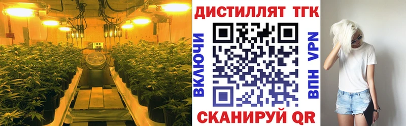 ТГК концентрат  Россошь 